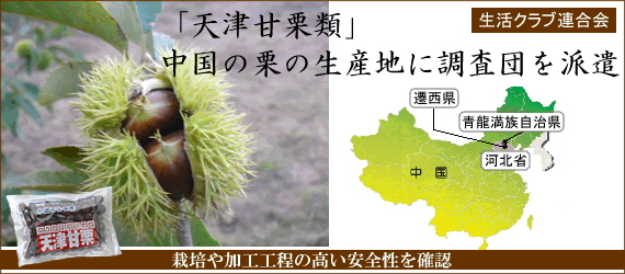 「天津甘栗類」中国の栗の生産地に調査段を派遣