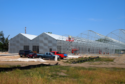 Greenhouses under construction in a former industrial park