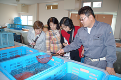 Members of the Seikatsu Club visiting a prawn farm.