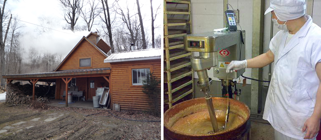 採取した樹液をシロップに加工する小屋。煮詰めるための煙が出ている（カナダ・ケベック州）（左写真）。メープルアーモンドの製造工程。アーモンドを投入するために、煮詰めたメープルシロップの温度を計る菓子職人。
