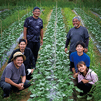 沖縄で育つ、野菜も、農家も