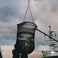 改定漁業法の疑問点　これで「海」という共有資源（コモンズ）が守れるか？